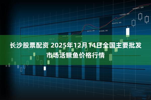 长沙股票配资 2025年12月14日全国主要批发市场活鳜鱼价格行情